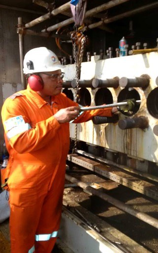Pump internals during service
