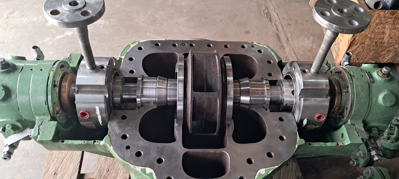 Pump rotor and casing during overhaul